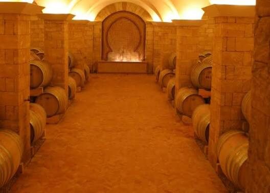 A Moroccan wine cellar