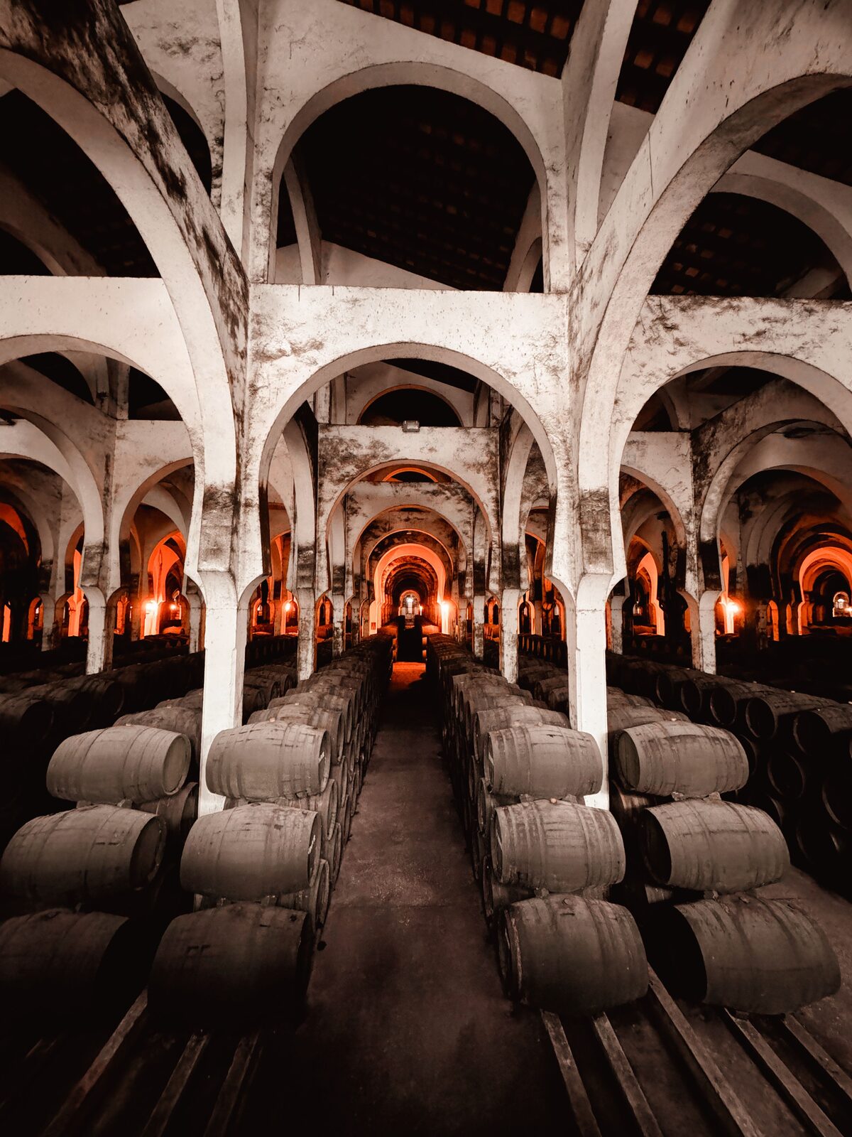 A vaulted Moroccan wine cellar